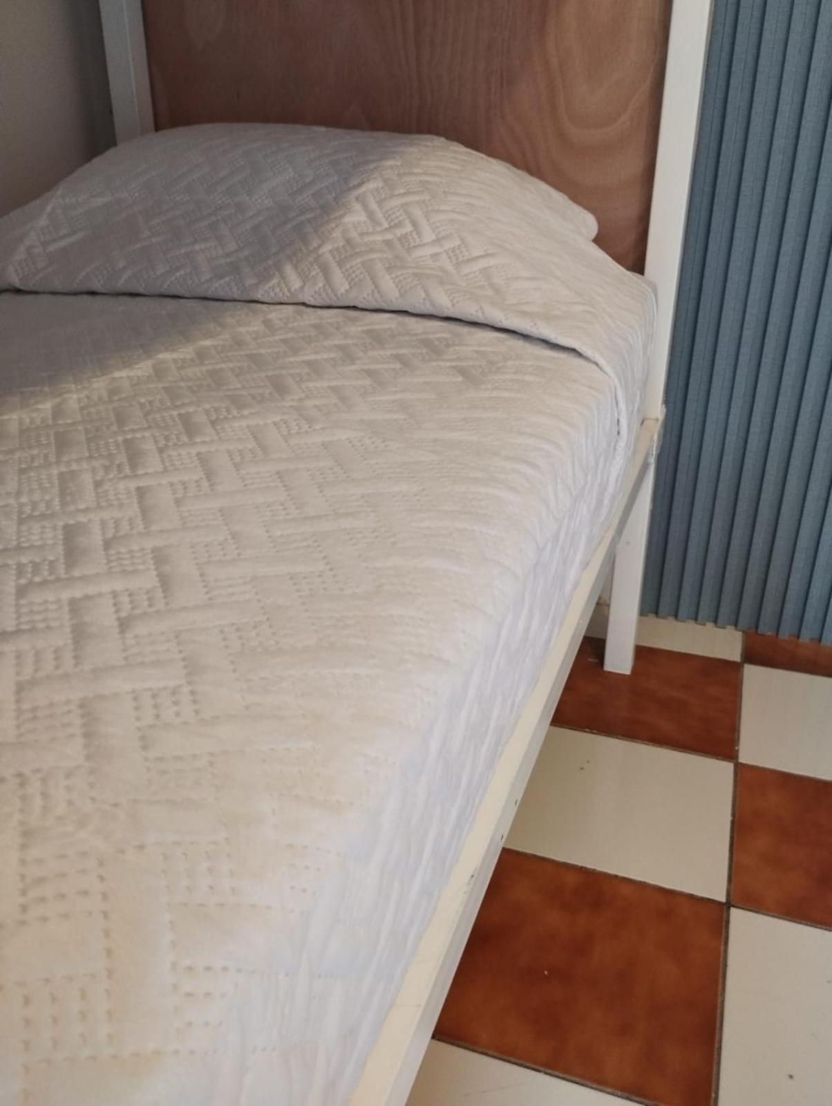 הוסטל סנטה קרוז לה לגונה Lemon Tree Santa Cruz מראה חיצוני תמונה
